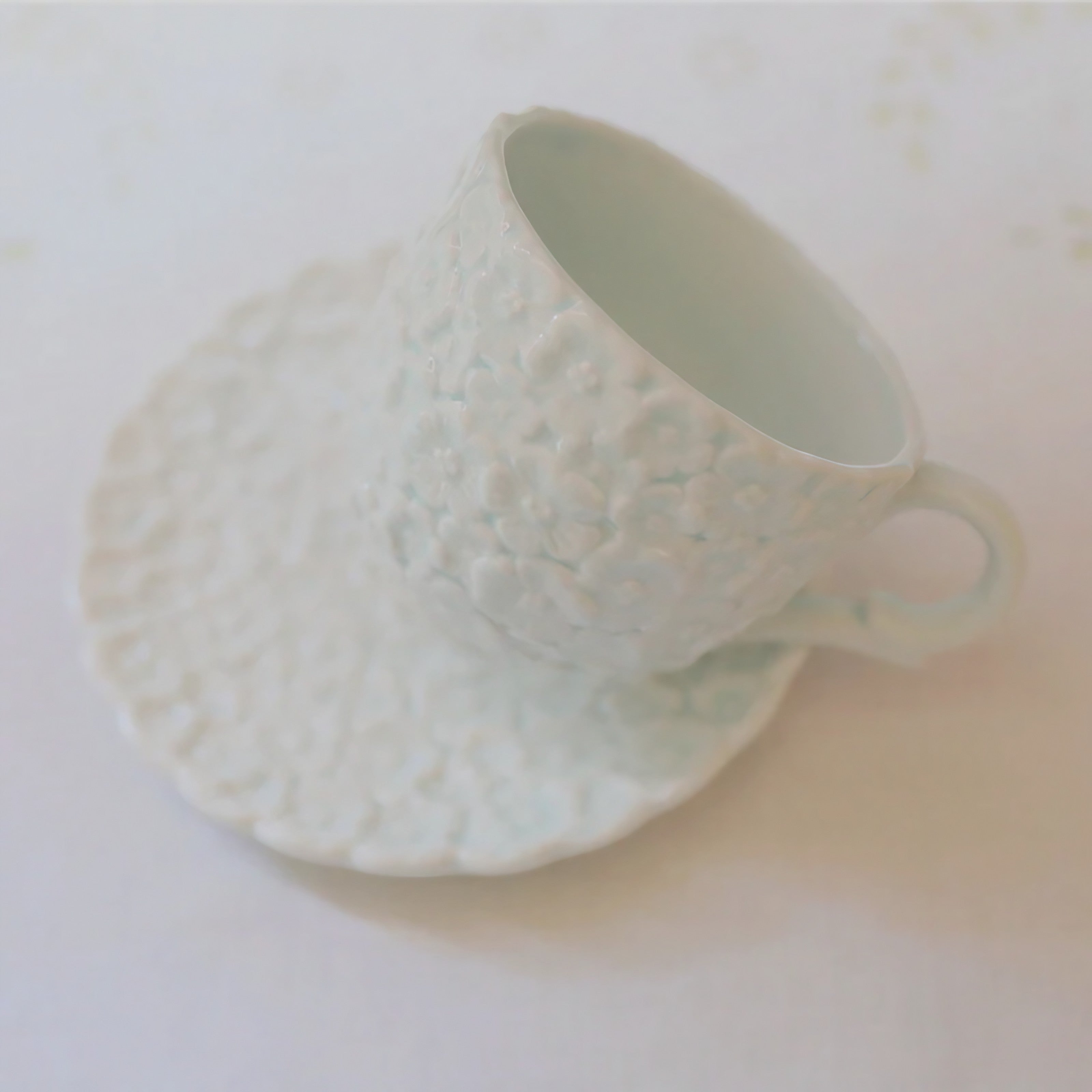 Blossom Relief Mugs