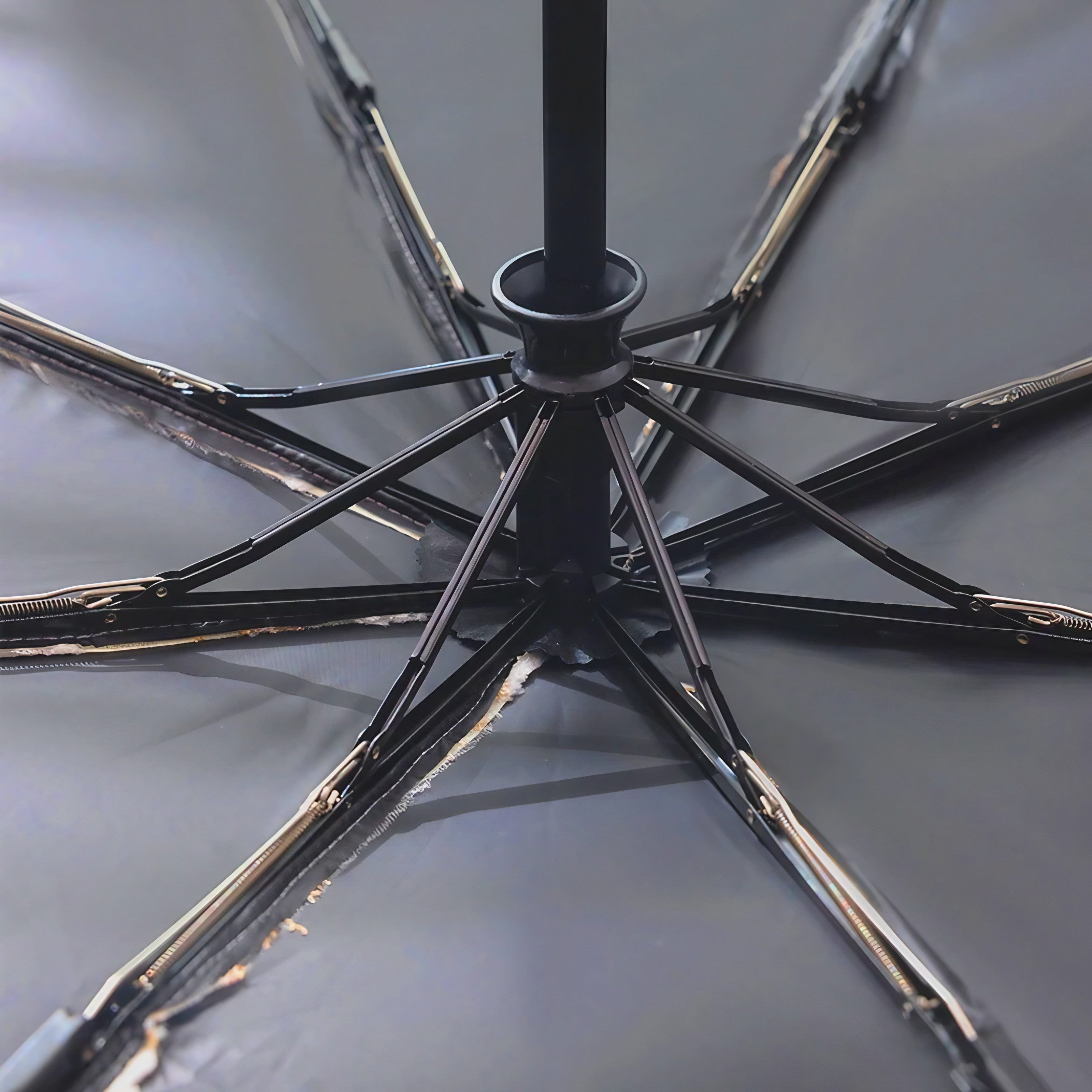 Blossom Veil Umbrella