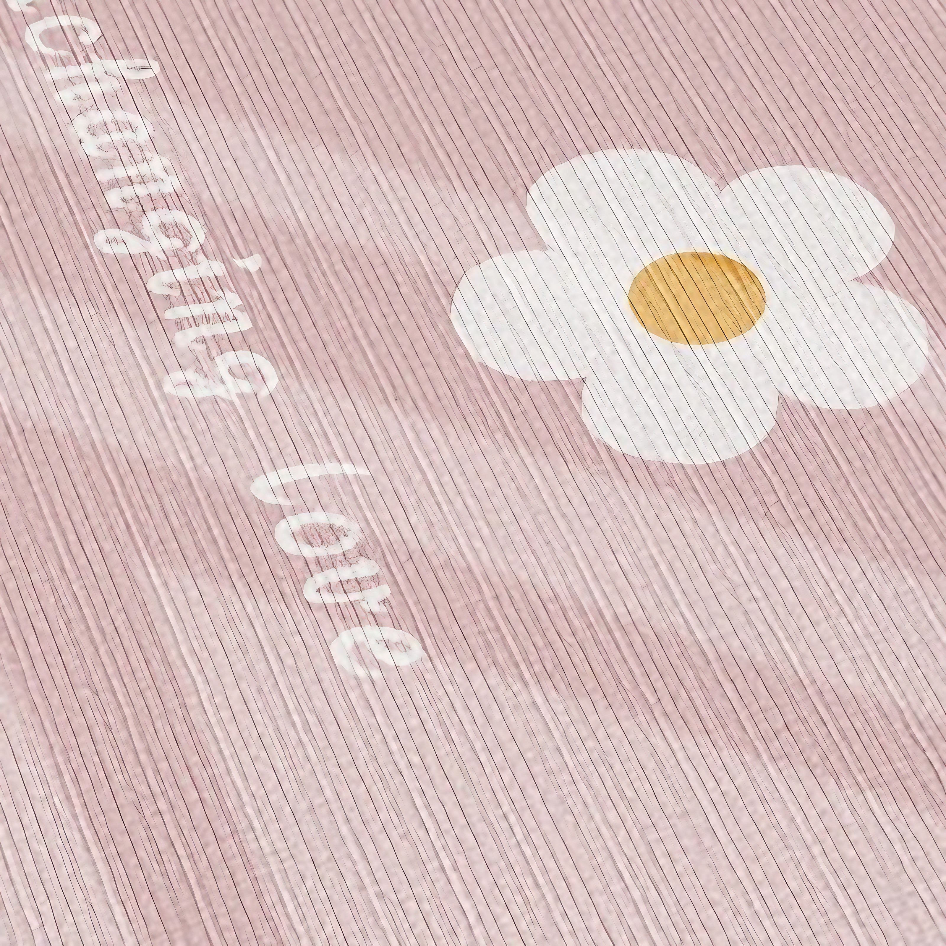 Daisy Whimsy Rugs