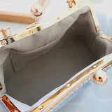 Luxe Ribbon Clutch