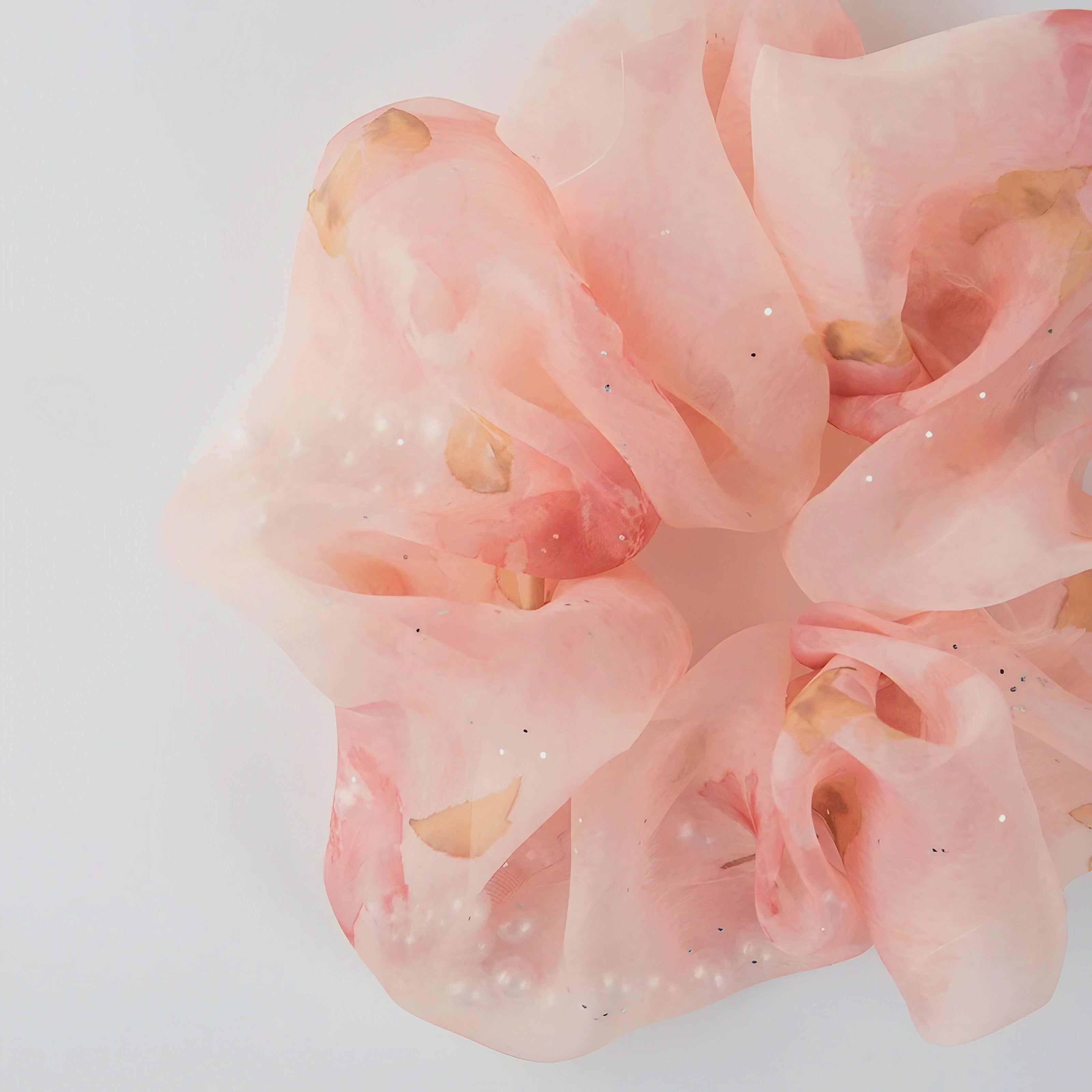 Rosy Veil Hair Band