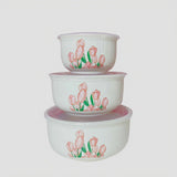 Tulip Bloom Food Storage Set